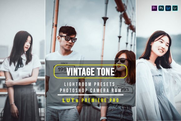Download 10 Vintage Tone Presets and Luts - Vintage tone presets Collection