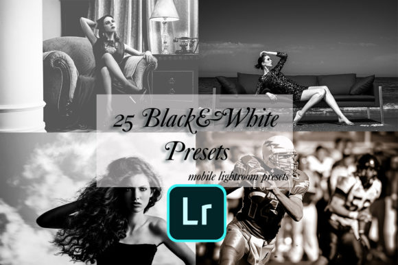 Download 25 Lightroom Mobile Black&amp;White Presets - White presets Collection