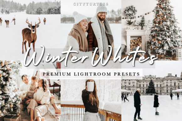 Download Bright White Winter Lightroom Presets - Premium Resources